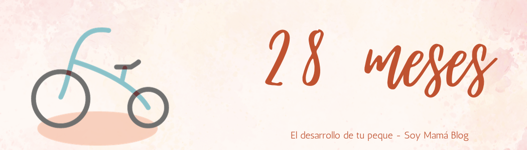 El desarrollo de tu bebe mes a mes | Mi bebé de 28 meses