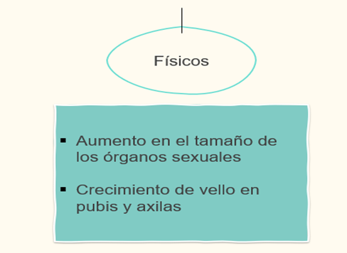 #AprendeEnCasa2 – 15 de septiembre – Primero de Secundaria
