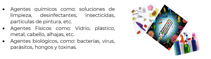 #AprendeEnCasa2 – 23 de septiembre – 4to Primaria