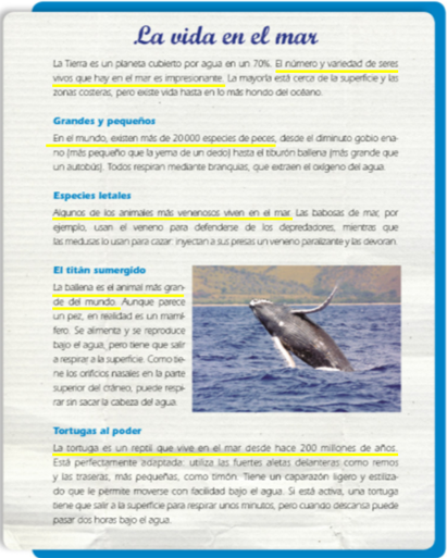 #AprendeEnCasa2 – 23 de septiembre – 4to Primaria