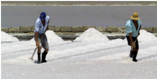 #AprendeEnCasa2 – 22 de septiembre – Tercero de Secundaria