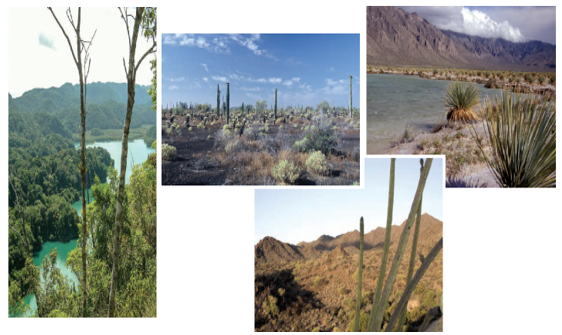 #AprendeEnCasa2 – 22 de septiembre – 4to Primaria