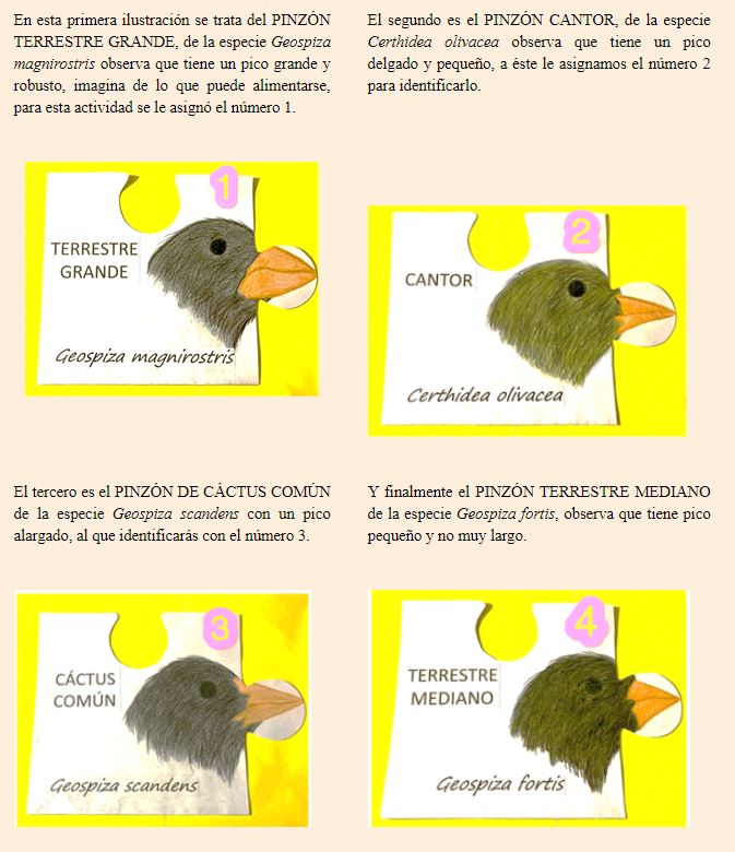 Aprendeencasa2 28 De Septiembre 1 De Secundaria Soy Mama Blog