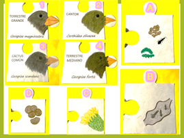 #AprendeEnCasa2 – 28 de septiembre – Segundo de Secundaria