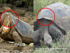 #AprendeEnCasa2 – 28 de septiembre – Segundo de Secundaria