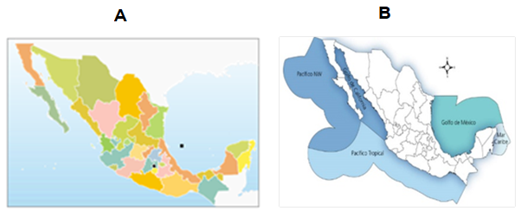 #AprendeEnCasa2 – 17 de septiembre – 4to Primaria