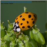 #AprendeEnCasa2 – 14 de septiembre – Segundo de Secundaria