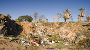 #AprendeEnCasa2 – 14 de septiembre – Segundo de Secundaria