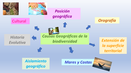 #AprendeEnCasa2 – 14 de septiembre – Primero de Secundaria