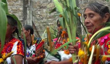 #AprendeEnCasa2 –  1 de octubre – 6to Primaria