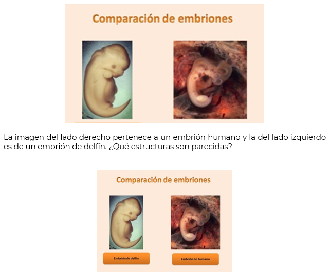 #AprendeEnCasa2 – 2 de octubre – Primero de Secundaria