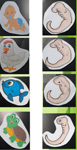 #AprendeEnCasa2 – 2 de octubre – Primero de Secundaria