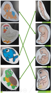 #AprendeEnCasa2 – 2 de octubre – Primero de Secundaria