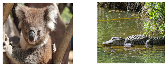 #AprendeEnCasa2 – 5 de octubre – 2do Primaria