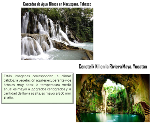 #AprendeEnCasa2 – 6 de octubre – 4to Primaria