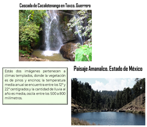 #AprendeEnCasa2 – 6 de octubre – 4to Primaria