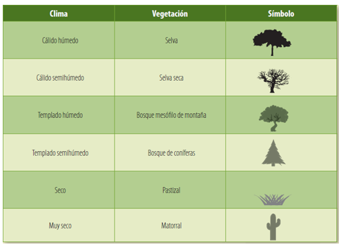 #AprendeEnCasa2 – 6 de octubre – 4to Primaria