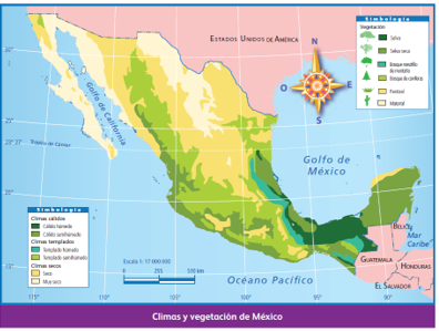 #AprendeEnCasa2 – 6 de octubre – 4to Primaria