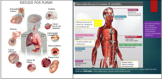 #AprendeEnCasa2 – 6 de octubre – 5to Primaria